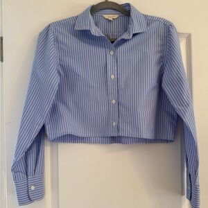 Blue Striped Cropped Button-Up Shirt
